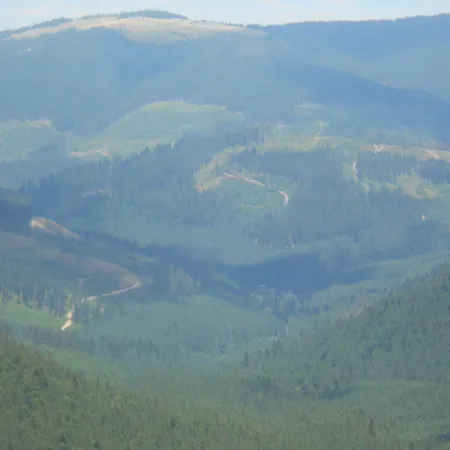 Guest house U Ilka *