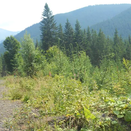 U Ilka * Lazeshchyna